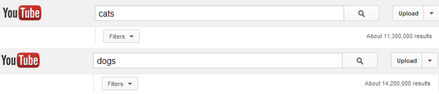 youtube search cats v dogs