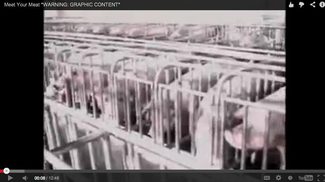Meet Your Meat