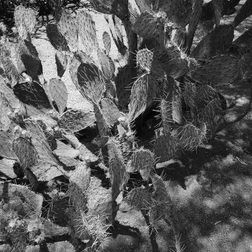 Nikon-Coolpix-A-sample-image-8
