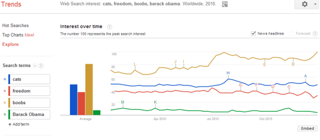 cats trends