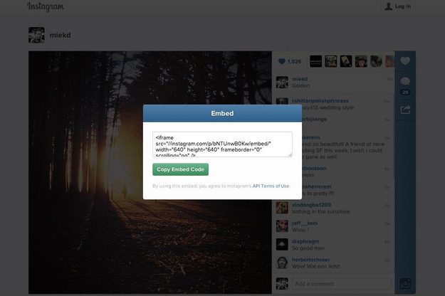 instagram embed