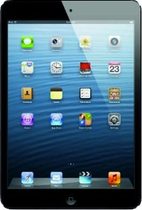 iPadMini