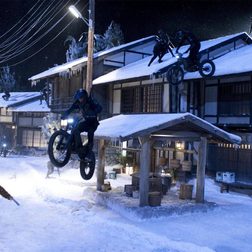 The Wolverine