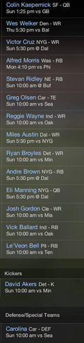 Fantasy football league