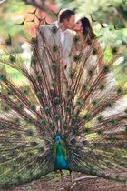 Get_Creative_When_Shooting_A_Destination_Wedding_-_by_Sara_Kauss_Photogr...