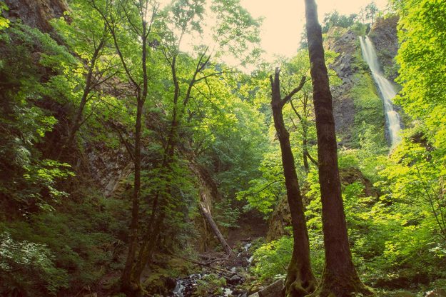 Starvation Creek Tail waterfall
