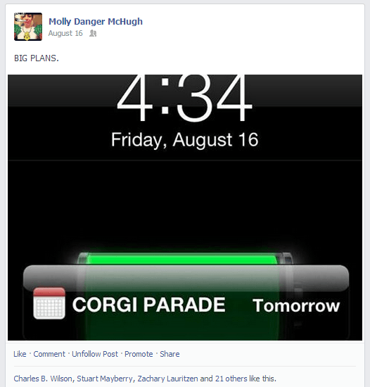 corgi parade