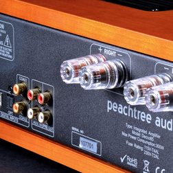 peachtree audio decco65 amplifier back jacks angle