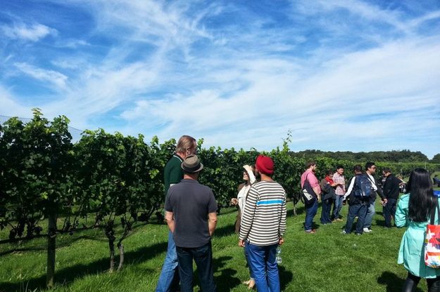 Google City Experts Wine Tour