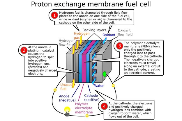 Diagram of a Proton exchange membrane fuel cell