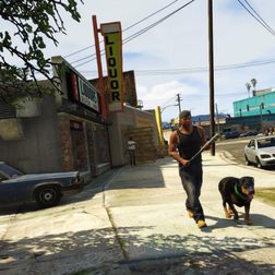 Grand Theft Auto 5 Screenshot_362