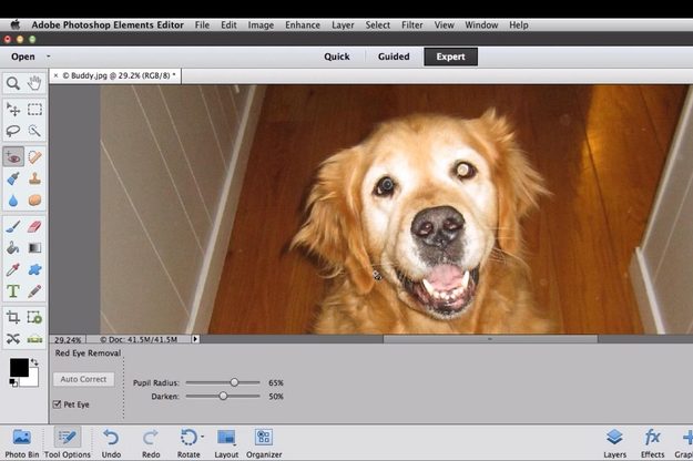 PS Elements - pet eye correction