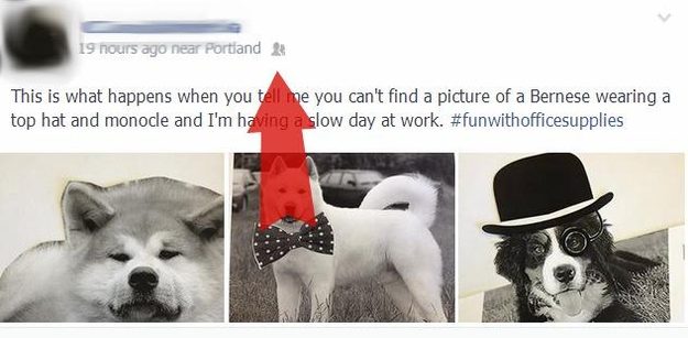 fb hashtag public