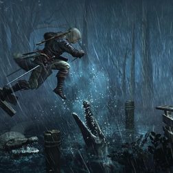 Assassin's Creed Black Flag