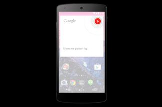 Google-Nexus-5-press-moment