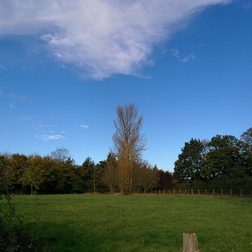 Google-Nexus-5-sample-image-7