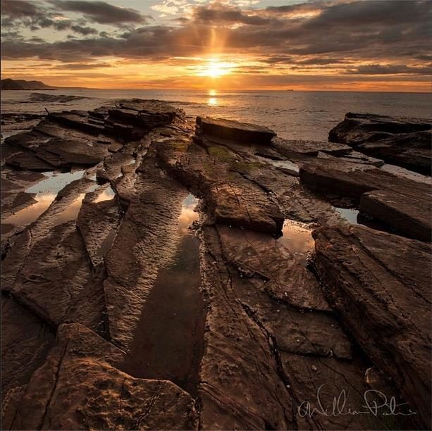 william_patino photo