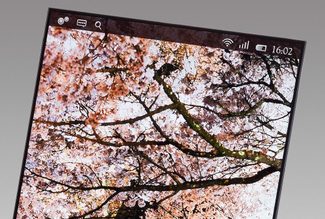 Japan Display 1440p screen