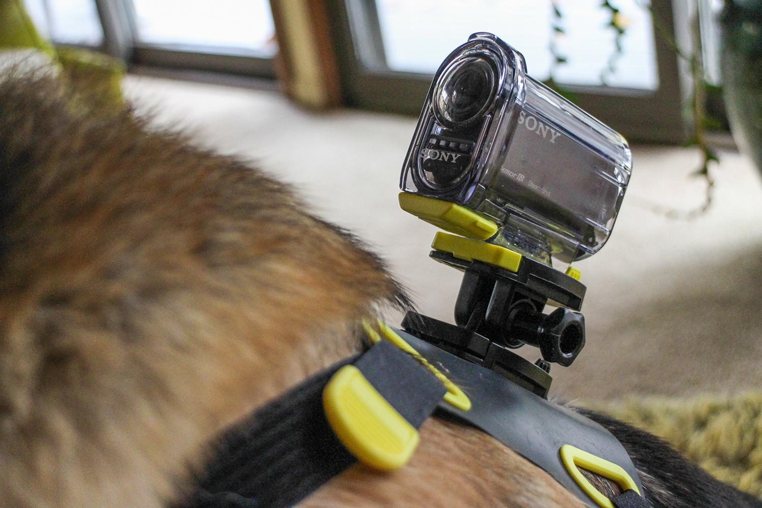Saggio sony camcorder