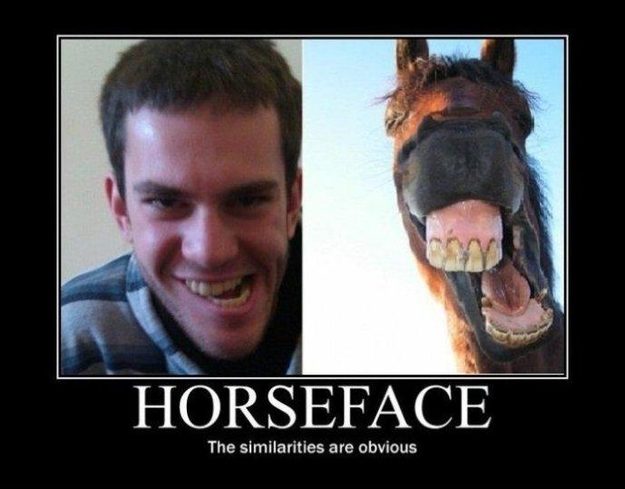 horseface 3