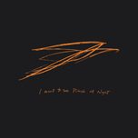 Andrew Bird I Want to see Pulaski at night