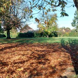 motorola moto g review sample image 10
