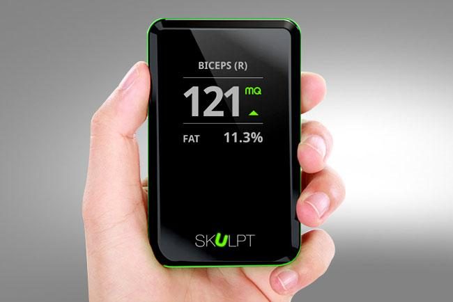 Skulpt-2