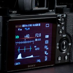 Sony Alpha 7R rear panel info
