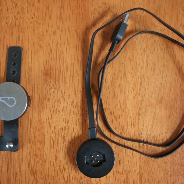 Whistle activity monitor + charger