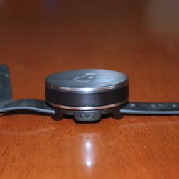 Whistle activity monitor mounted