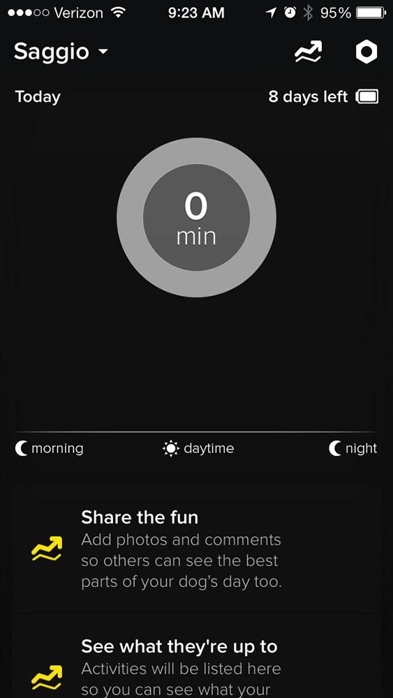 Whistle activity monitor ss 2
