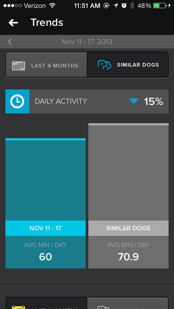 Whistle activity monitor ss 4