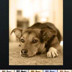 firefox os review photo filter