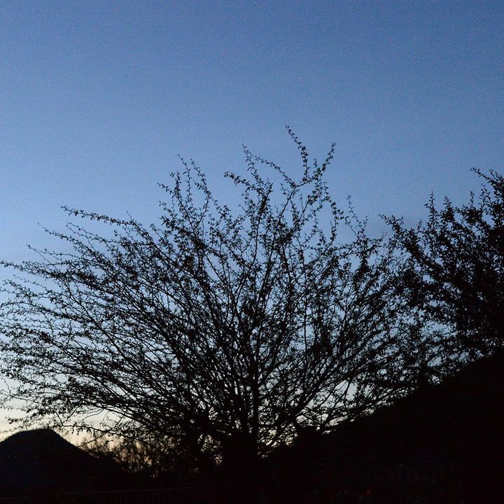 nikon df review sample image sunset