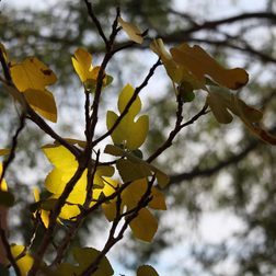 canon eos rebel t5i review sample shot 1