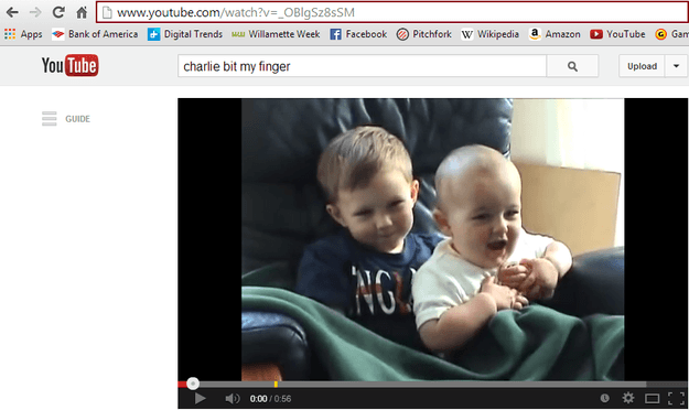 Flash Video Copy URL