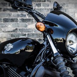 Harley-Davidson Street 500 750 photo21