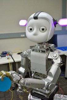 Meka Simon Robot Torso