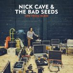 Nick Cave