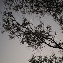 sigma dp3 review merill sample image 4