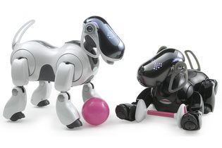 Sony Aibo