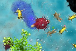 Spore