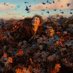 The Hobbit The Desolation of Smaug