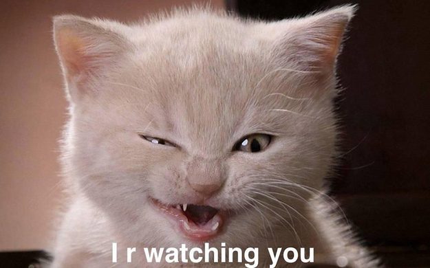 Whiskers-NSA