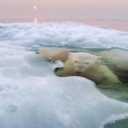 2013 national geographic photography contest winners natgeo photo nature winner