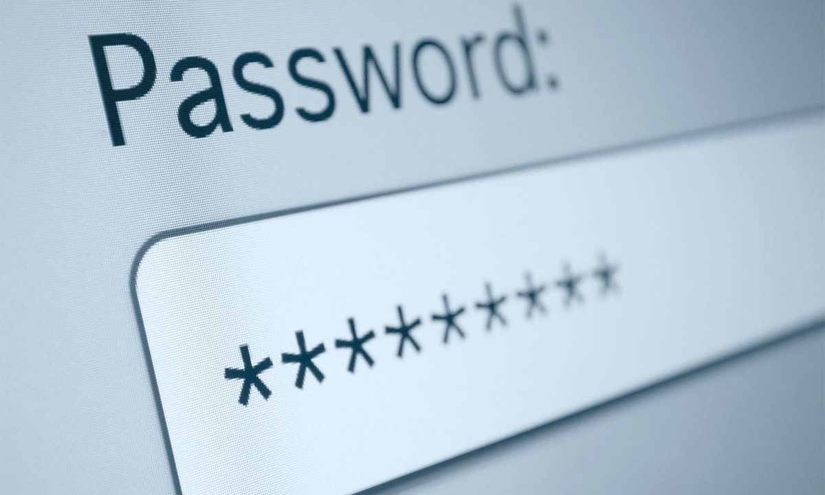 pilot testing drivers licenses internet rolls two us states password