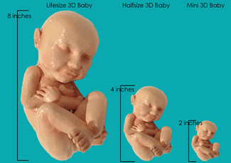 3d baby size chart