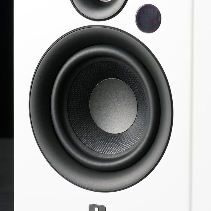 Aperion Allaire woofer