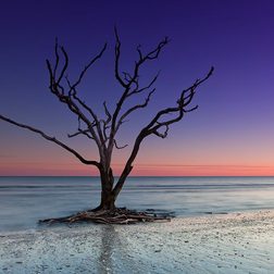 Benjamin Edelstein landscape photo 1