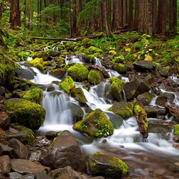Benjamin Edelstein landscape photo 3